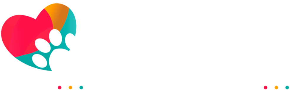 Pet Work Travel