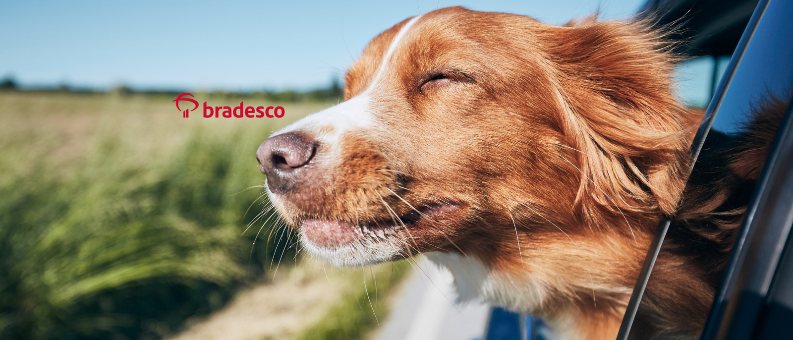 PARCEIROBRADESCO CARTÕES