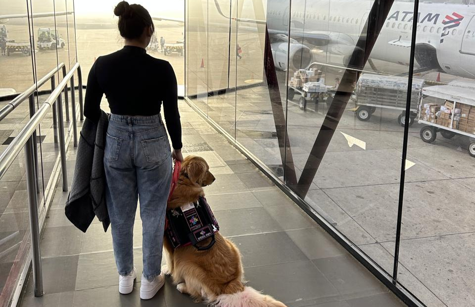 ✈️ Animais de suporte emocional devem viajar na cabine?