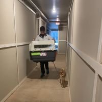 Lillian Rodrigues de Moraes